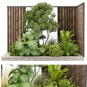 Collection plant vol 488 - garden - leaf - palm - wood