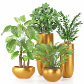 treez plants set 18