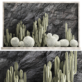 Desert plants cacti with wall rock, black pebbles, cereus, echinocactus, Barrel cactus. Plant collection 1279