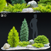 Alpine hill coniferous | Alpine Hill