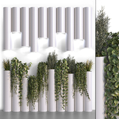 Decorative Plant Cylinders
