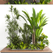 Collection Indoor plant vol 47