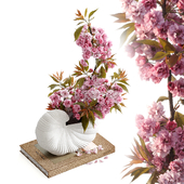 Shell Pot with Sakura Ferm Living