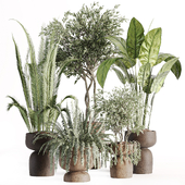 indoor plants in vase 002