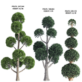 Garden Trees - Decorative Tree
