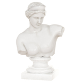 Bust of Venus of Capoa