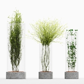 Little Plants In Frosted Vases Set1