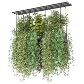 indoor hanging plants in metal box_  Set 909