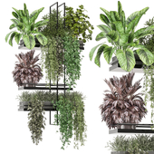 indoor hanging plants in metal box_  Set 910