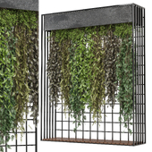 indoor hanging plants in metal box_  Set 911