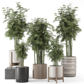 Indoor Plants in Ferm Living Bau Pot Large - Set 1574