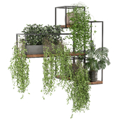 indoor plants in metal shelf set 917