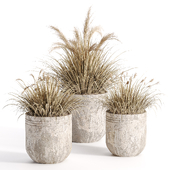 outdoor plants in vase 001