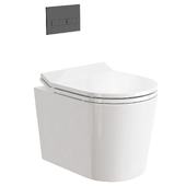 Harbor Acclaim Rimless Wall Hung Toilet