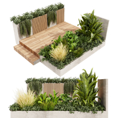 Collection plant vol 500 - Entrance - banana - wood - garden