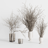 Dried branches with concrete and glass vase - bouquet 35