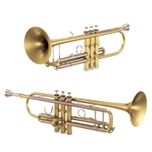 Brass Instrument Trumpet
