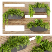 Collection plant vol 505 - garden - leaf - fitowall - wood