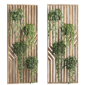 hanging plant-wooden wall