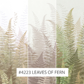 Creativille | Wallpapers | 4223 Leaves of Fern