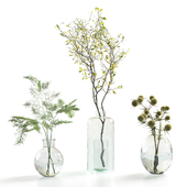 Asparagus, plum and thistle branches in glass vases