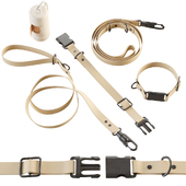 Collar and leash for dogs, ammunition