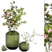 Indoor Plant Set 33