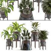 Collection Indoor plant vol 54