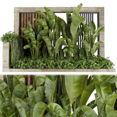 Collection plant vol 513 - garden - leaf - banana - wood