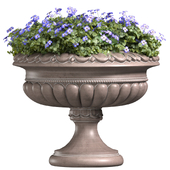 A flower bed in a classic vase for facade decoration.Blue Flowers in container pot