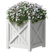 Flower bed in garden planter.Plant in Wood Plant Box Patio