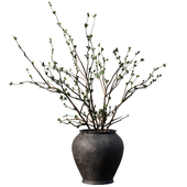 Dry Branches in black pot