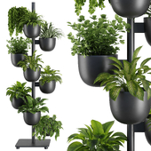 Indoor Plant Set V36