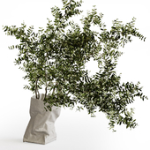 Paper Bag vase by Serax with branches