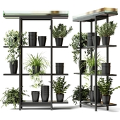Rack with plants, rack with automatic watering, partition with indoor plants