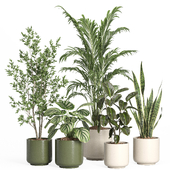 indoor plant set 56- ceramic pot