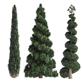 pine tree set