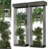 indoor hanging Plants Collection set_1022