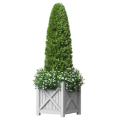 Decorative tree in a flower bed with flowers for the porch. Front Entrance Tree