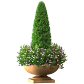 Decorative tree in a flower bed with flowers for the porch. Front Entrance Doors Tree Patio Porch Balcony.Boxwood Shrubs Topiary in Cache Pot