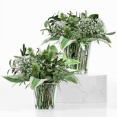 treez plants set 26
