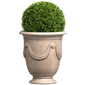 Boxwood in a Classic French Pot Anduze Planter POSH.Front Entry Tree Patio Porch balcony.Boxwood Shrubs Topiary in Cache Pot