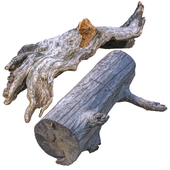 Old tree trunks, logs