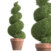 Indoor Plant Set 43