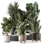 Indoor Plants in Ferm Living Bau Pot Large - Set 1782