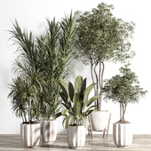 indoor plant - set 60