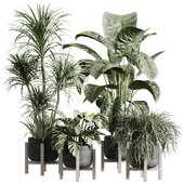 indoor plant set 26