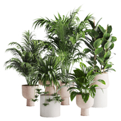 Indoor Plant Set 03