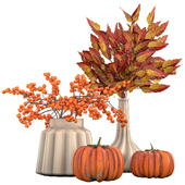 Indoor Plant Set 44