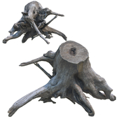 Old driftwood with roots